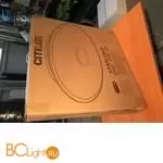 Потолочный светильник Citilux Старлайт Смарт CL703A100G - Фото 35