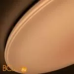 Потолочный светильник Citilux Старлайт Смарт CL703A201G - Фото 16