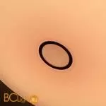 Потолочный светильник Citilux Старлайт Смарт CL703A201G - Фото 18