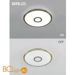 Потолочный светильник Citilux Старлайт Смарт CL703A43G - Фото 11