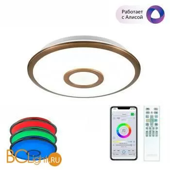 Потолочный светильник Citilux Старлайт Смарт CL703A13G