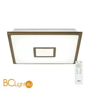 Потолочный светильник Citilux Старлайт CL70353R