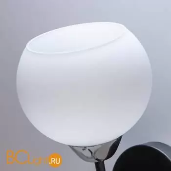 Бра Citilux Стивен CL141411 - Фото 4