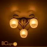 Люстра Citilux Сюзи CL171134 - Фото 10