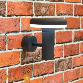 Уличный настенный светильник Citilux Уличные CLU01W