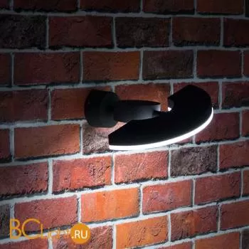 Уличный настенный светильник Citilux CLU03W