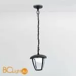 Уличный подвесной светильник Citilux Уличные CLU04P - Фото 0