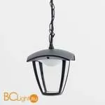 Уличный подвесной светильник Citilux Уличные CLU04P