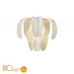 Настенный светильник Cloyd Ceylon 20278 - Фото 0