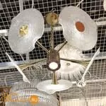 Люстра Cloyd Grammy 10666 - Фото 0