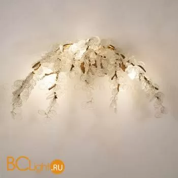 Настенный светильник Cloyd Haoma 20283