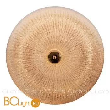 Потолочный светильник Cloyd Manioca 11041 - Фото 1