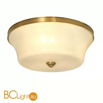 Потолочный светильник Cloyd Parade 10014