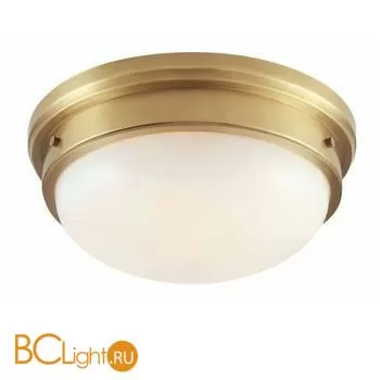 Потолочный светильник Cloyd Plainy 10228