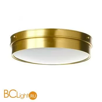 Потолочный светильник Cloyd Platz 10458