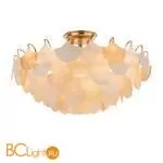 Потолочный светильник Cloyd Polynesia 10353