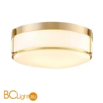 Потолочный светильник Cloyd Satter 10193