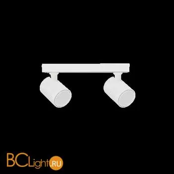 Потолочный светильник Crystal lux CLT 017CW2 L250 WH