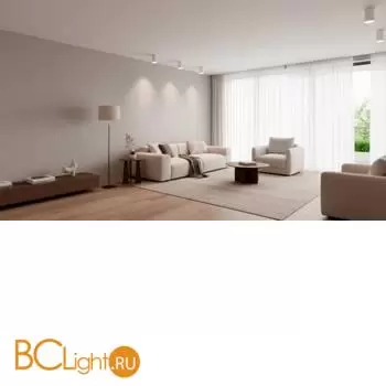 Потолочный светильник Crystal lux CLT 084 CLT 084C WH - Фото 3