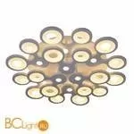 Потолочный светильник Crystal lux CLT 335C700PL - Фото 1