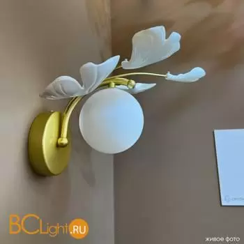 Бра Crystal lux COLIBRI COLIBRI AP1 GOLD - Фото 1