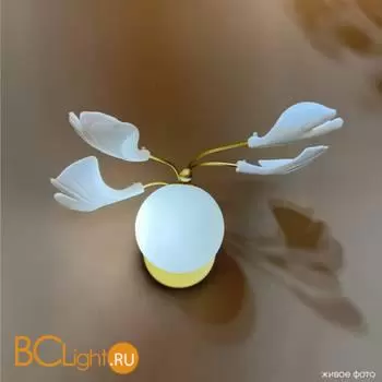 Бра Crystal lux COLIBRI COLIBRI AP1 GOLD - Фото 2