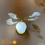 Бра Crystal lux COLIBRI COLIBRI AP1 GOLD - Фото 2