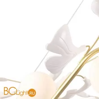 Люстра Crystal lux COLIBRI COLIBRI SP10 GOLD - Фото 4