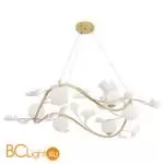 Люстра Crystal lux COLIBRI COLIBRI SP6 GOLD - Фото 0