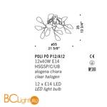 Потолочная люстра De Majo POLI PO P12/A12 0POLI0P-12 multi - Схема