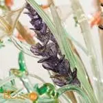 Люстра De Majo QUATTRO STAGIONI K72 0QUAT0K72 - Фото 2