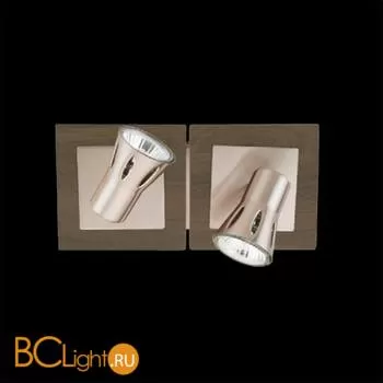 Спот (точечный светильник) De Markt Арктур 503020202