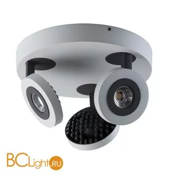 Спот De Markt Астор 545020903