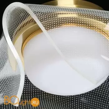 Подвесной светильник De Markt Ауксис 722012205 - Фото 7