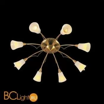 Потолочная люстра De Markt Аврора 311012108