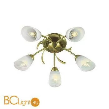 Потолочная люстра De Markt Флора 256016105