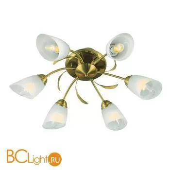 Потолочная люстра De Markt Флора 256016206