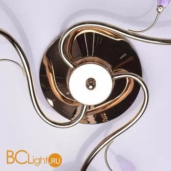 Потолочная люстра De Markt Флора 670010403 - Фото 7