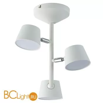 Потолочный светильник De Markt Хартвиг 717010903