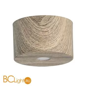 Потолочный светильник De Markt Иланг 712010201