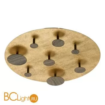 Потолочный светильник De Markt Иланг 712011908
