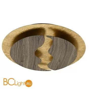 Потолочный светильник De Markt Иланг 712011701