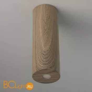 Потолочный светильник De Markt Иланг 712010501 - Фото 1