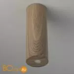 Потолочный светильник De Markt Иланг 712010501 - Фото 1