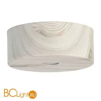 Потолочный светильник De Markt Иланг 712010601