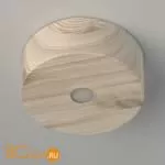 Потолочный светильник De Markt Иланг 712010601 - Фото 1