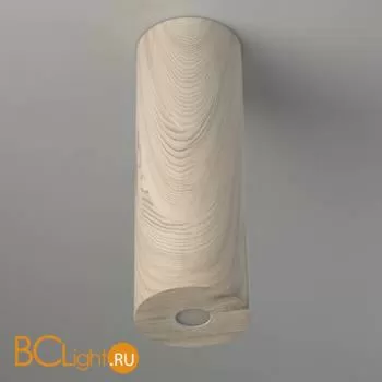 Потолочный светильник De Markt Иланг 712011001 - Фото 1