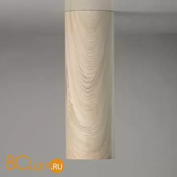 Потолочный светильник De Markt Иланг 712011001 - Фото 2