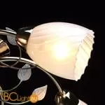 Потолочная люстра De Markt Лето 319015005 - Фото 2