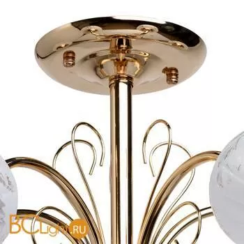 Потолочная люстра De Markt Нежность 676010405 - Фото 1